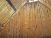 Foto: Olve Utne (2017).