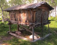 Luäppte på Skeppsholmen i Arjeplog Foto: Olve Utne (2017).