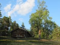 450. C32159 sommarfjøs på Oppåvollen.jpg