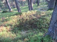 451. C32162 fangstgrop i Gutulia.jpg