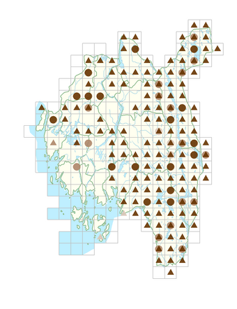Calamagrostis arundinacea.png