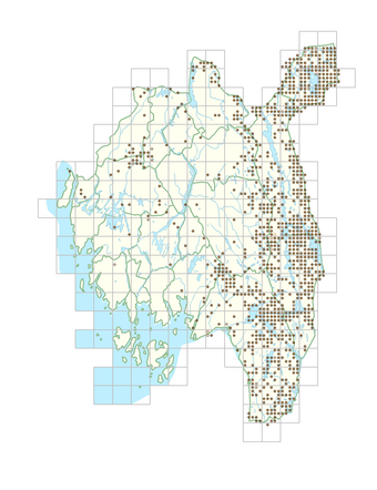 Calamagrostis arundinacea 1.png