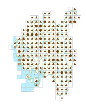 Calamagrostis canescens.png