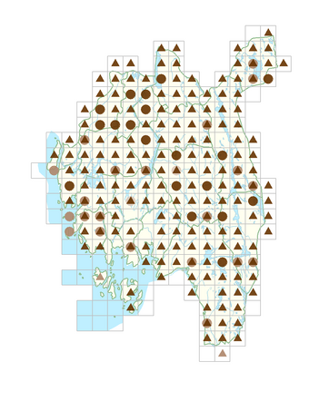 Calamagrostis canescens.png