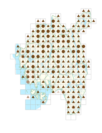 Calamagrostis phragmitoides.png