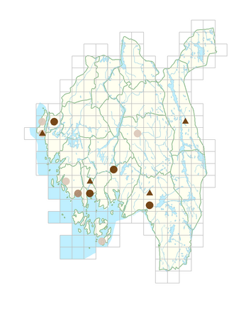 Calendula officinalis.png