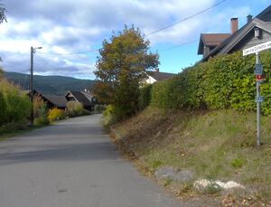 Camilla Colletts vei Kongsberg 2014.jpg