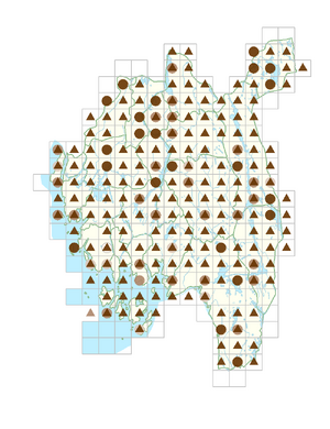 Campanula persicifolia.png