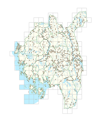 Campanula persicifolia 1.png