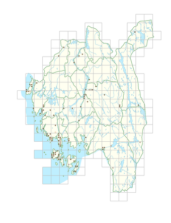 Campanula trachelium 1.png