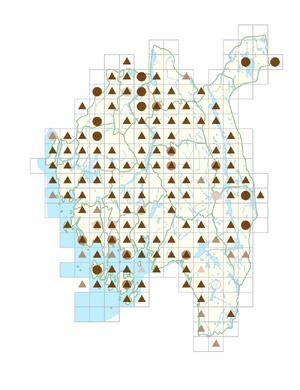 Cardamine pratensis.png