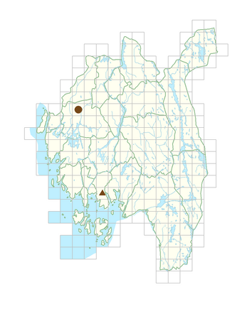 Carex acutiformis.png