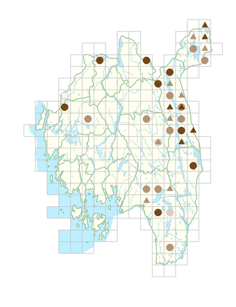 Carex chordorrhiza.png