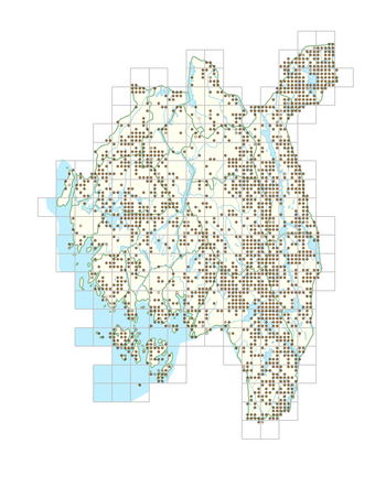 Carex echinata 1.png