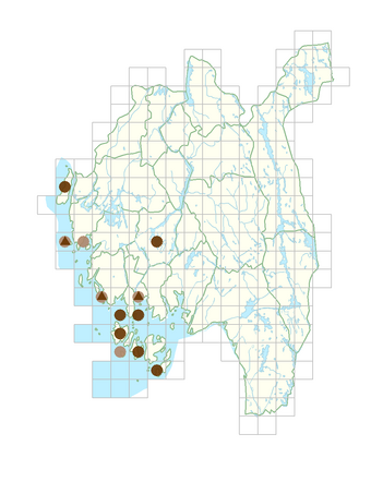 Carex hartmaniorum.png