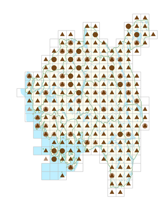 Carex pallescens.png