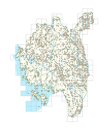 Carex pallescens 1.png
