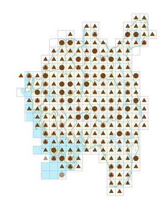 Carex pilulifera.png