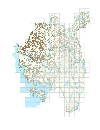 Carex pilulifera 1.png