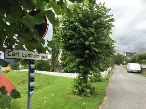 Carl Lumholtz gate Lillehammer 2016.JPG