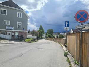 Carl Lumholtz gate Lillehammer 2025.jpg