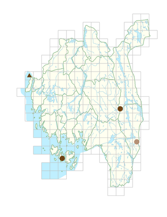 Carlina vulgaris subsp. vulgaris.png
