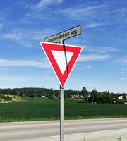 Carsten Ankers veg på Eidsvoll Verk. Foto: Trond Nygård (2020).