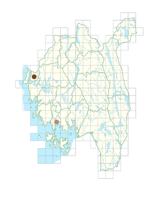 Carthamus lanatus.png