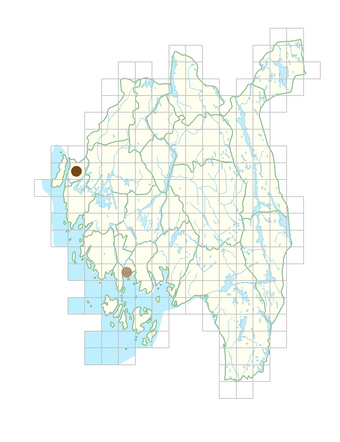 Carthamus lanatus.png