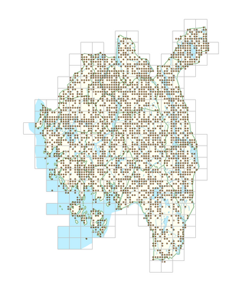 Chamaenerion angustifolium 1.png