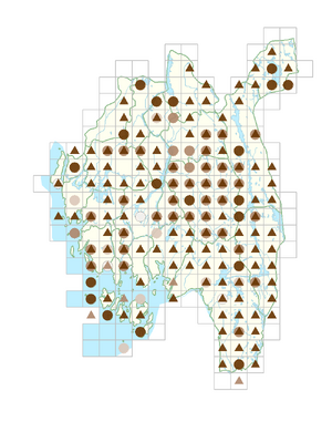 Chamaepericlymenum suecicum.png