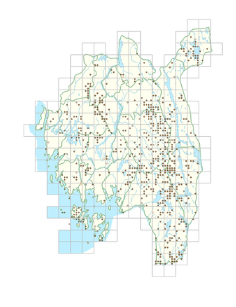 Chamaepericlymenum suecicum 1.png