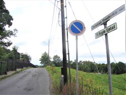 Motiv fra Christian Frederiks vei på Bygdøy i Oslo. Foto: Stig Rune Pedersen