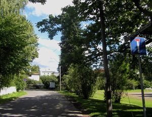 Christopher Hansteens vei Oslo 2013.jpg