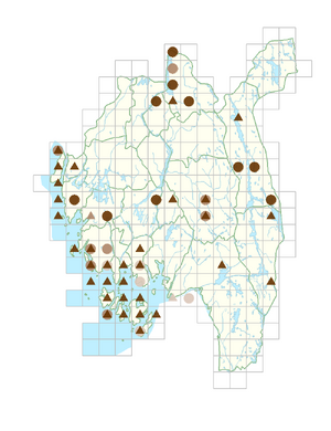 Clinopodium vulgare.png