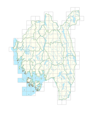 Cochlearia danica 1.png