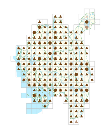 Corylus avellana.png