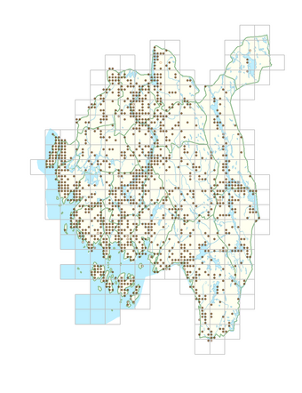 Corylus avellana 1.png