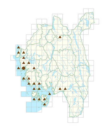 Cotoneaster horizontalis.png