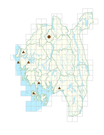 Cotoneaster symondsii.png