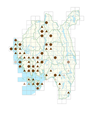 Crataegus monogyna.png
