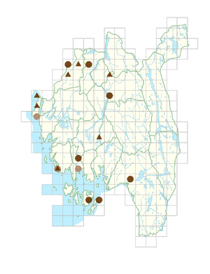 Crataegus rhipidophylla var. rhipidophylla.png