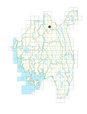 Cyanus cheiranthifolius.png