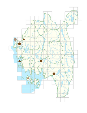 Cytisus scoparius.png