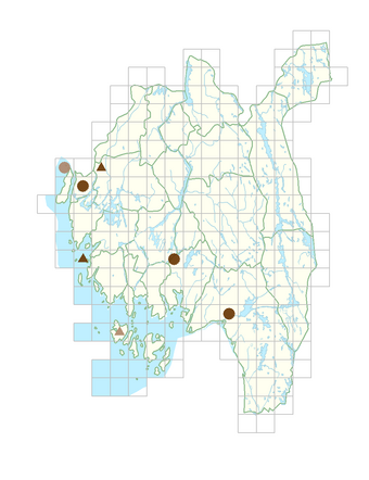 Cytisus scoparius.png