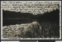 88. Dæhlivandet, Bærum - no-nb digifoto 20150820 00161 bldsa PK22186.jpg