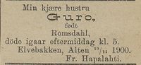27. Dødsannonse for Guro Hapalahti i Harstad Tidende 19.11.1900.jpg