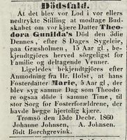 342. Dødsannonse for Theodora Gunilda Johnsen og Marie Holst i Tromsø Stiftstidende 20.12.1860.jpg