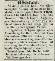 339. Dødsannonse for Theodora Gunilda Johnsen og Marie Holst i Tromsø Stiftstidende 20.12.1860.jpg