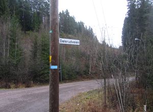 Dølerudveien Oslo 2014.jpg